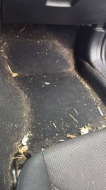 SUBARU CROSSTREK - Image 8