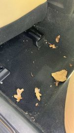 LEXUS IS 200T BASE - Image 2