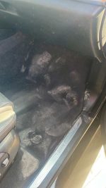 BMW X5 SDRIVE35I - Image 16