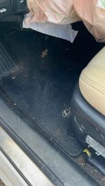 LEXUS IS 200T BASE - Image 5